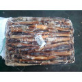 Fish Product Type and Block Shape Frozen Whole Round Squid